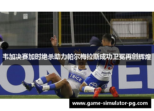 韦加决赛加时绝杀助力帕尔梅拉斯成功卫冕再创辉煌